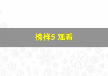 榜样5 观看